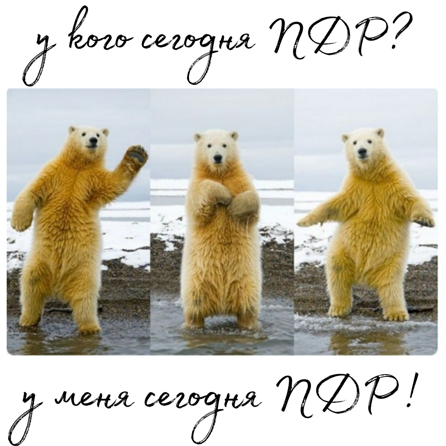 Посты пользователей из приложения image №3