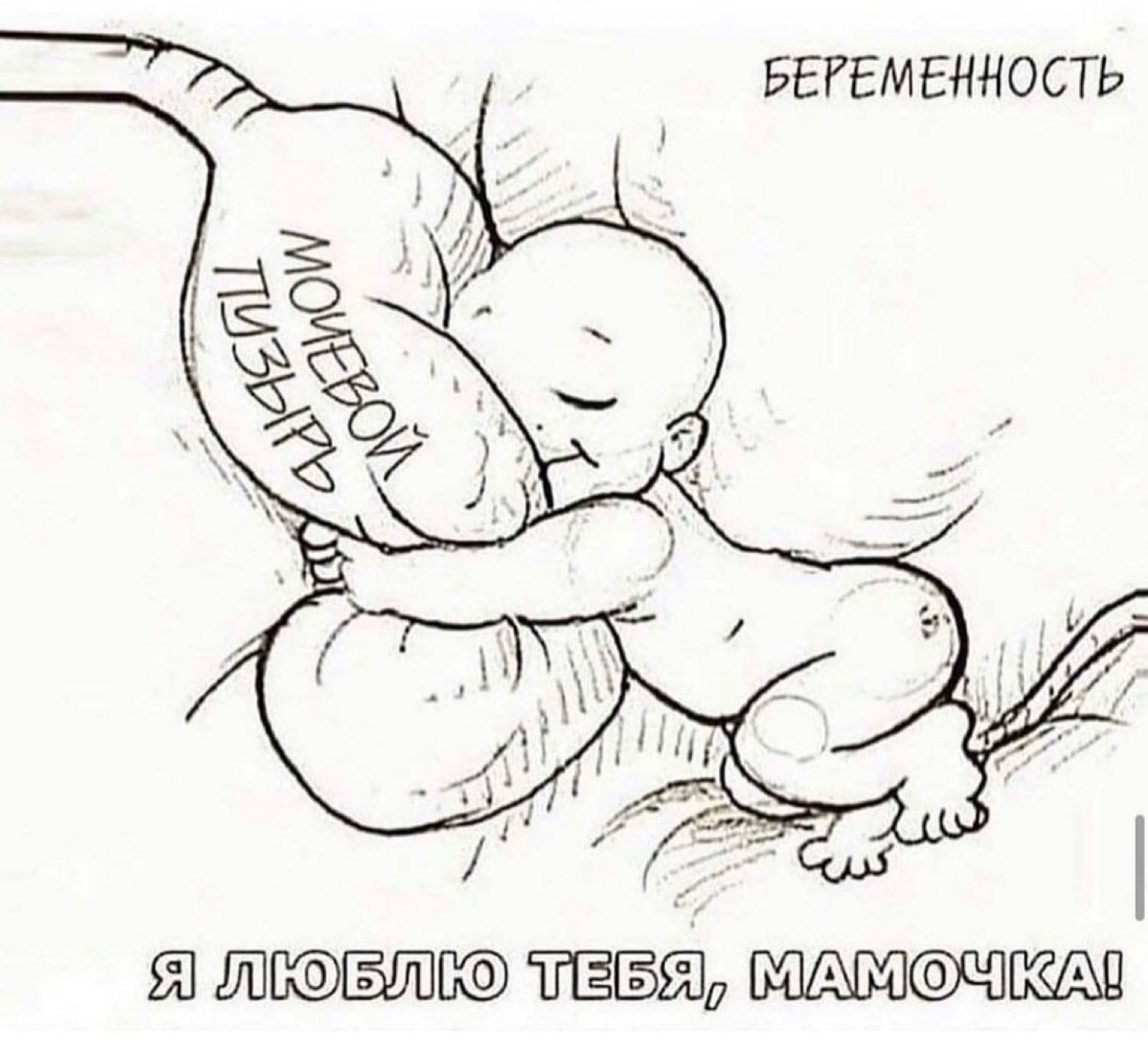 Посты пользователей из приложения image №2