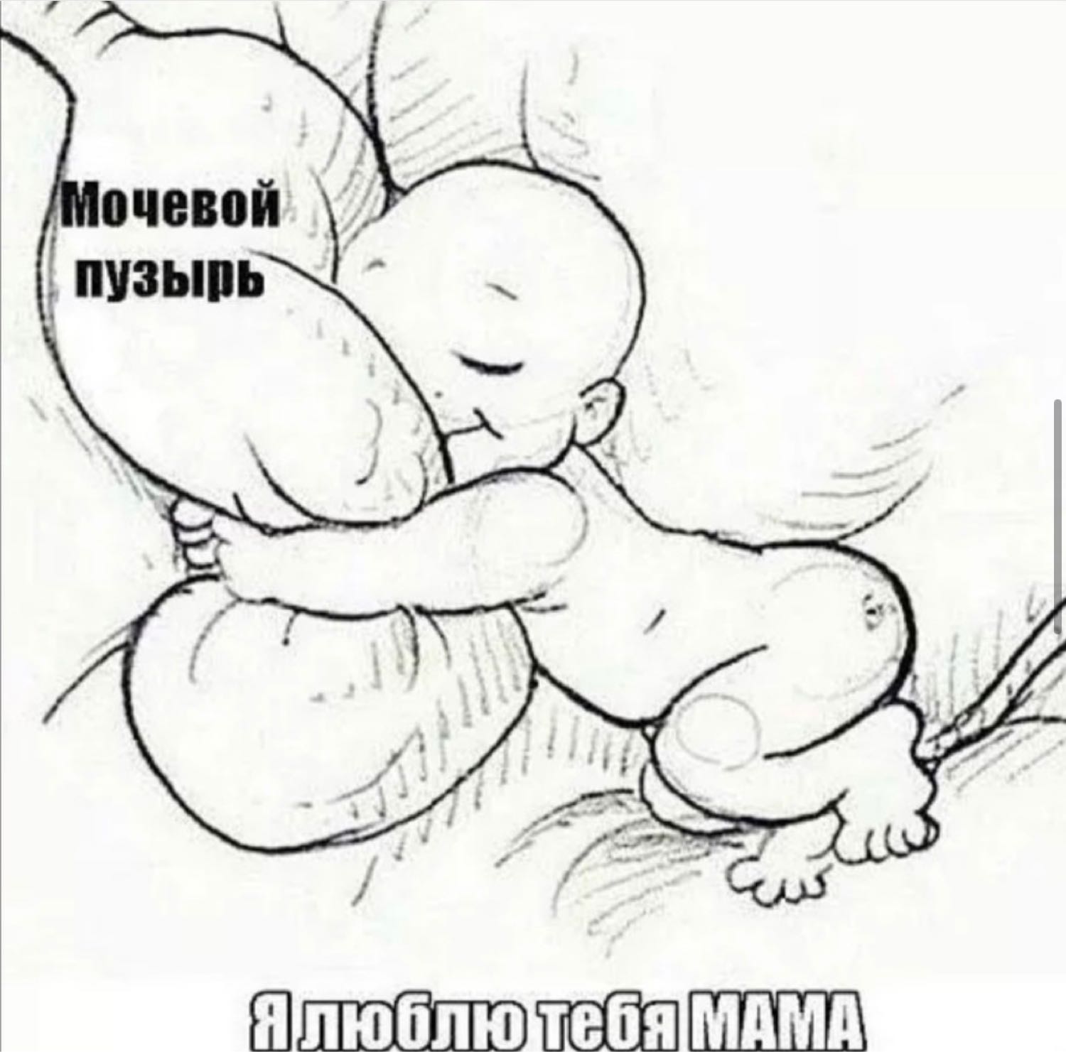 Посты пользователей из приложения image №4