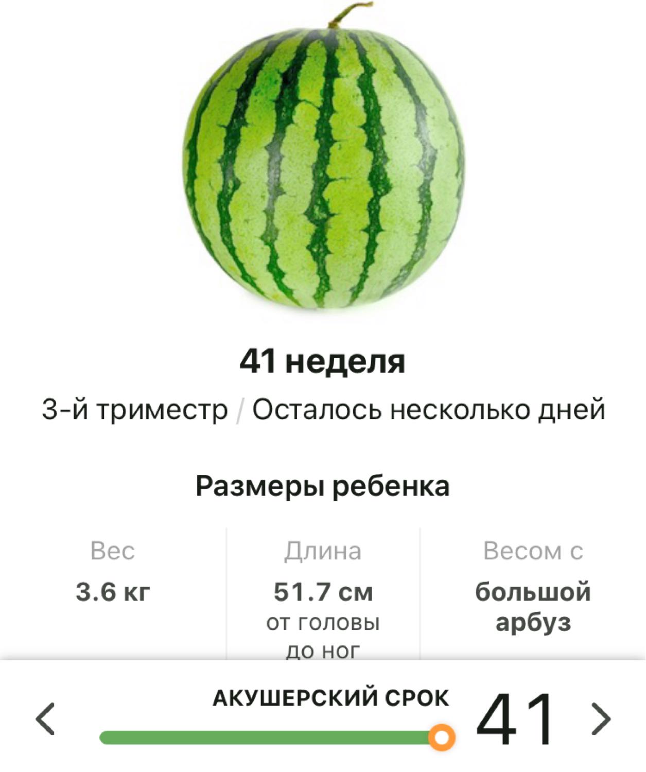 Посты пользователей из приложения image №5
