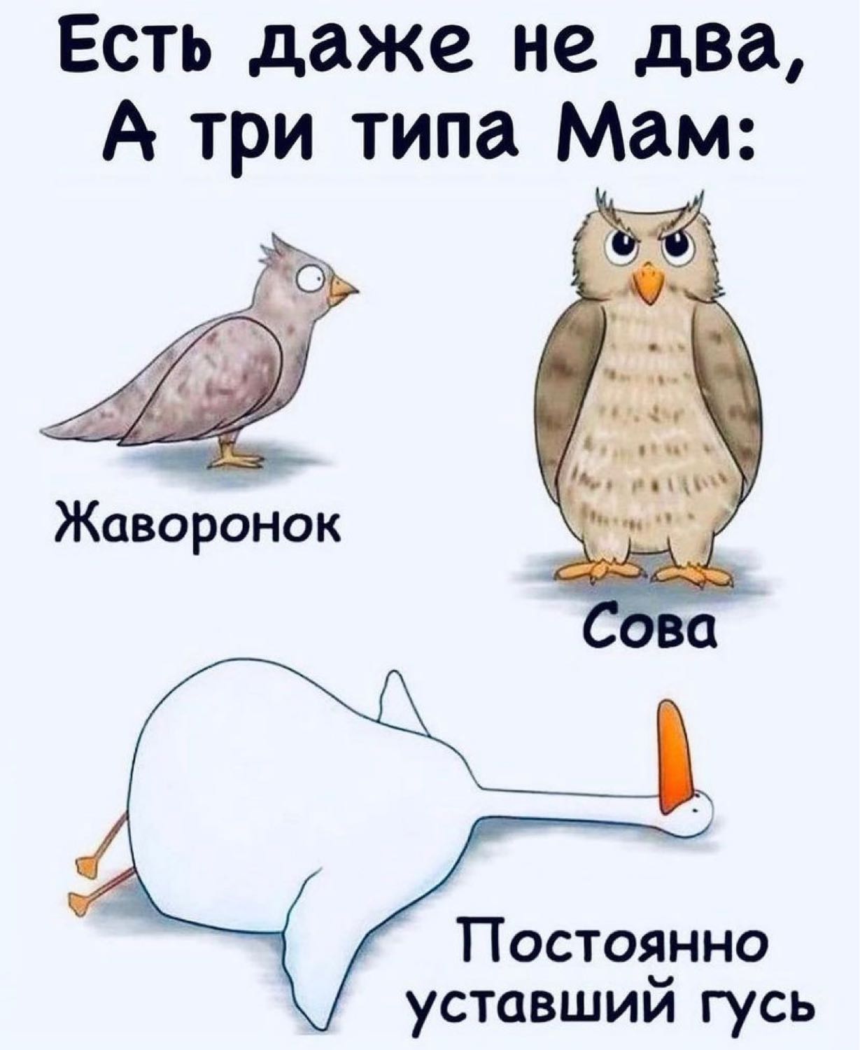 Посты пользователей из приложения 