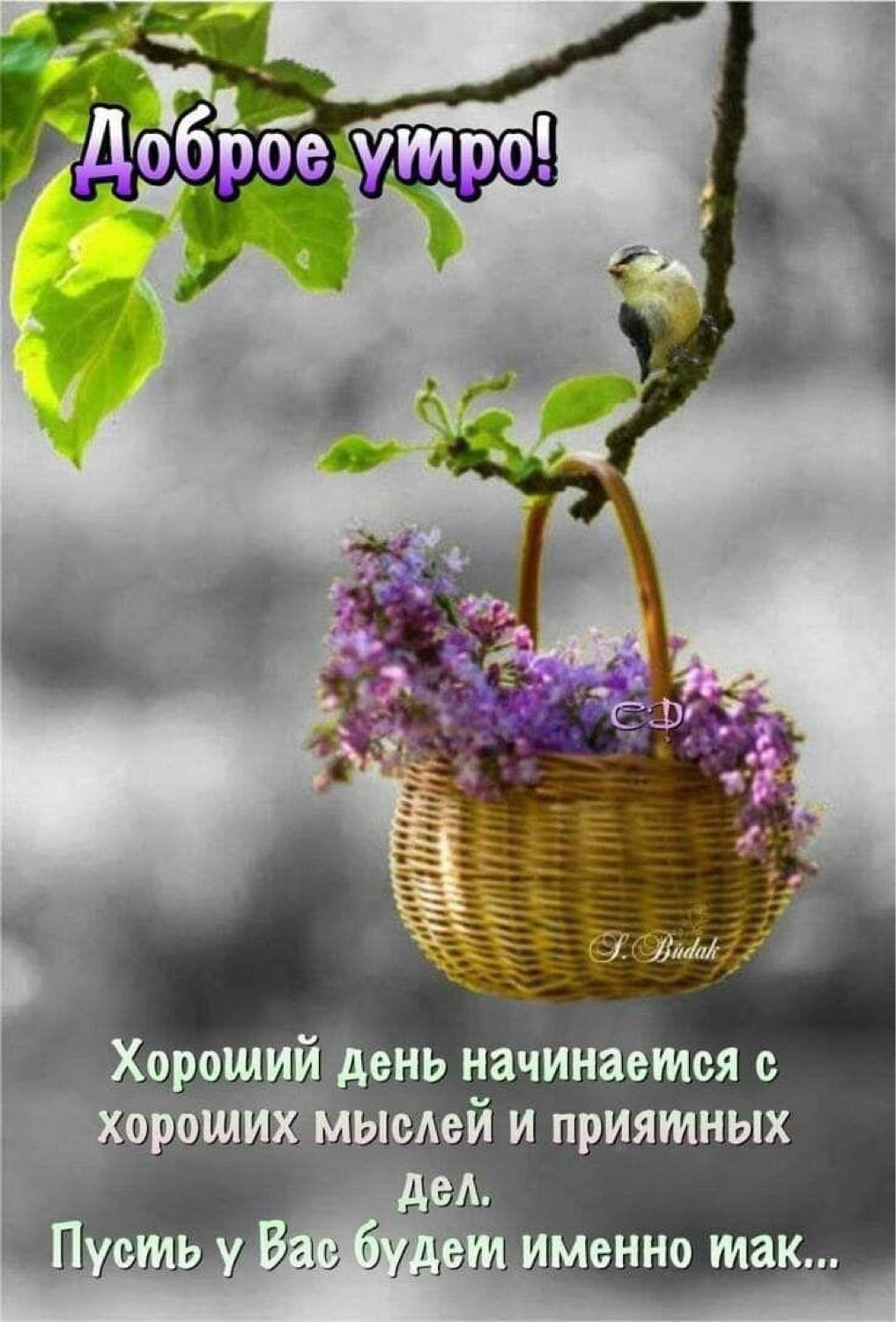 Посты пользователей из приложения image №5