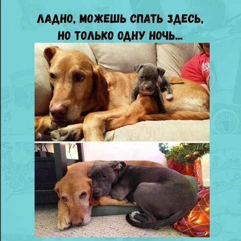 Для тех кто любит поржать🤣 image №6