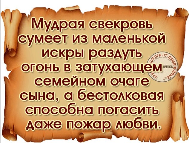 Сегодня тема СВЕКРОВЬ🔥🔥🔥
И ведь не зря столько юмора об отношениях нев... image №4