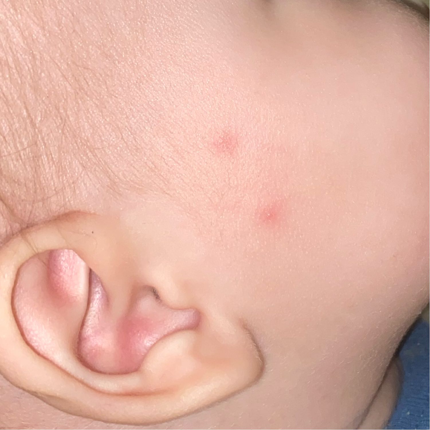 Посты пользователей из приложения image №3