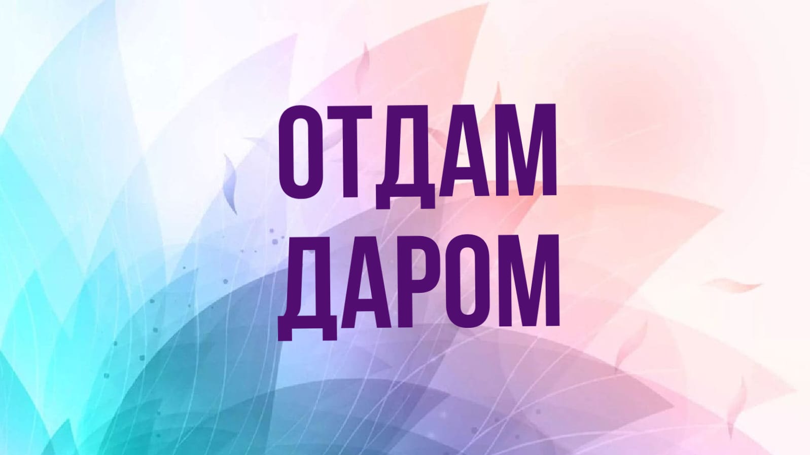 Посты пользователей из приложения 