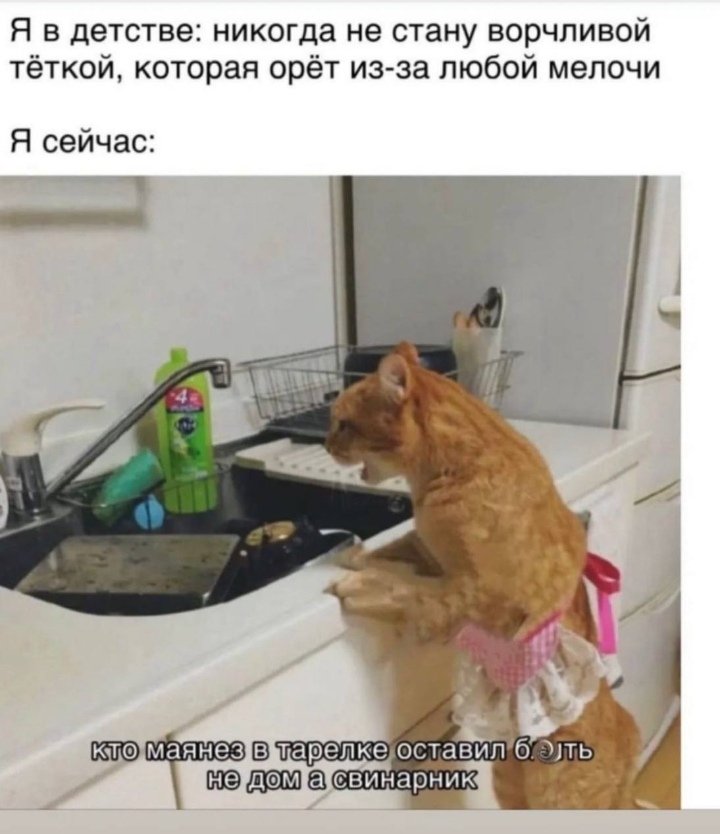 Посты пользователей из приложения image №3