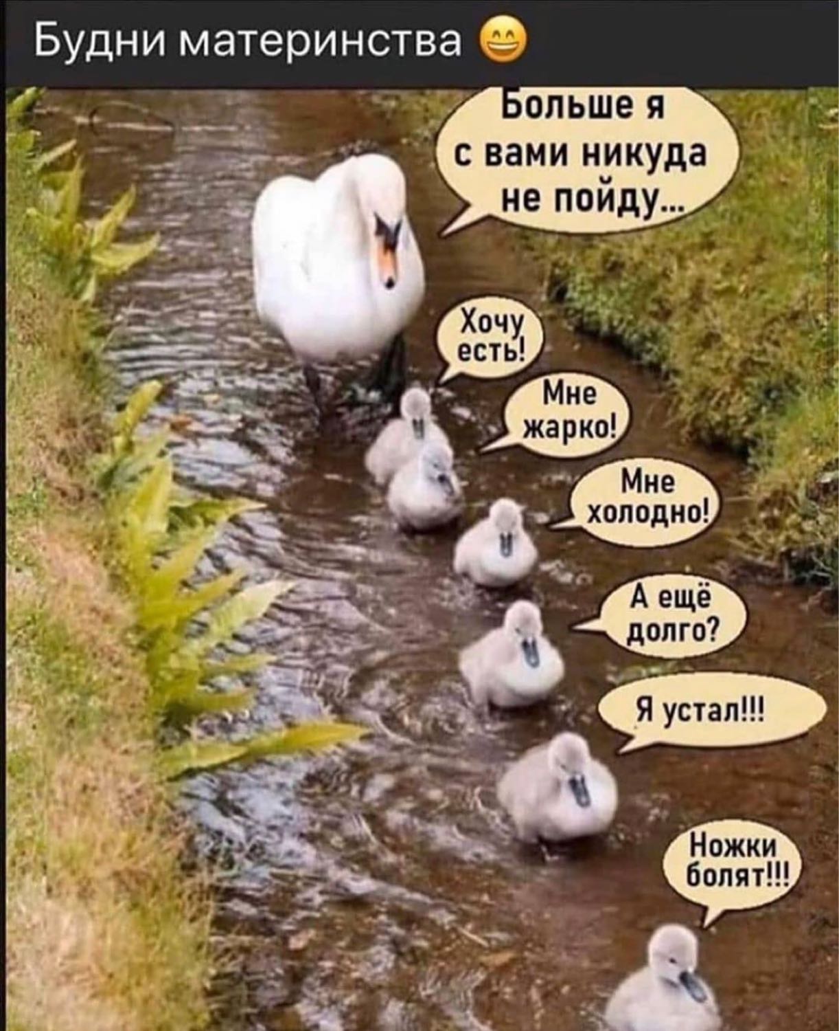 Посты пользователей из приложения image №3
