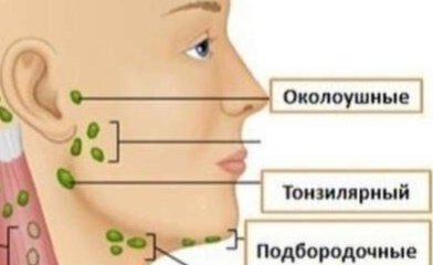 Всем хорошего дня. Девочки успокойте пожалуйста меня. У младшего сына ... image №3