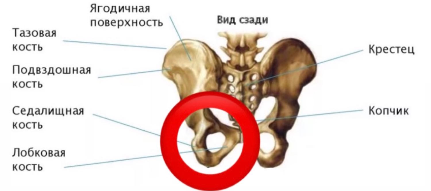 Девчоооонки, 🆘 ‼️
Болит поясница, но отдаёт в область, которую выделил... 