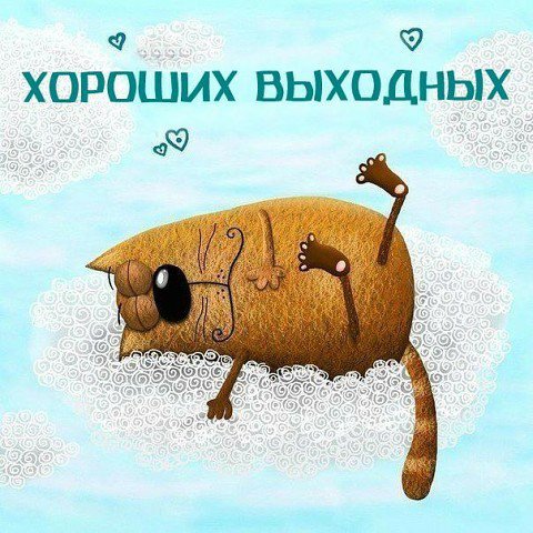 Посты пользователей из приложения image №2