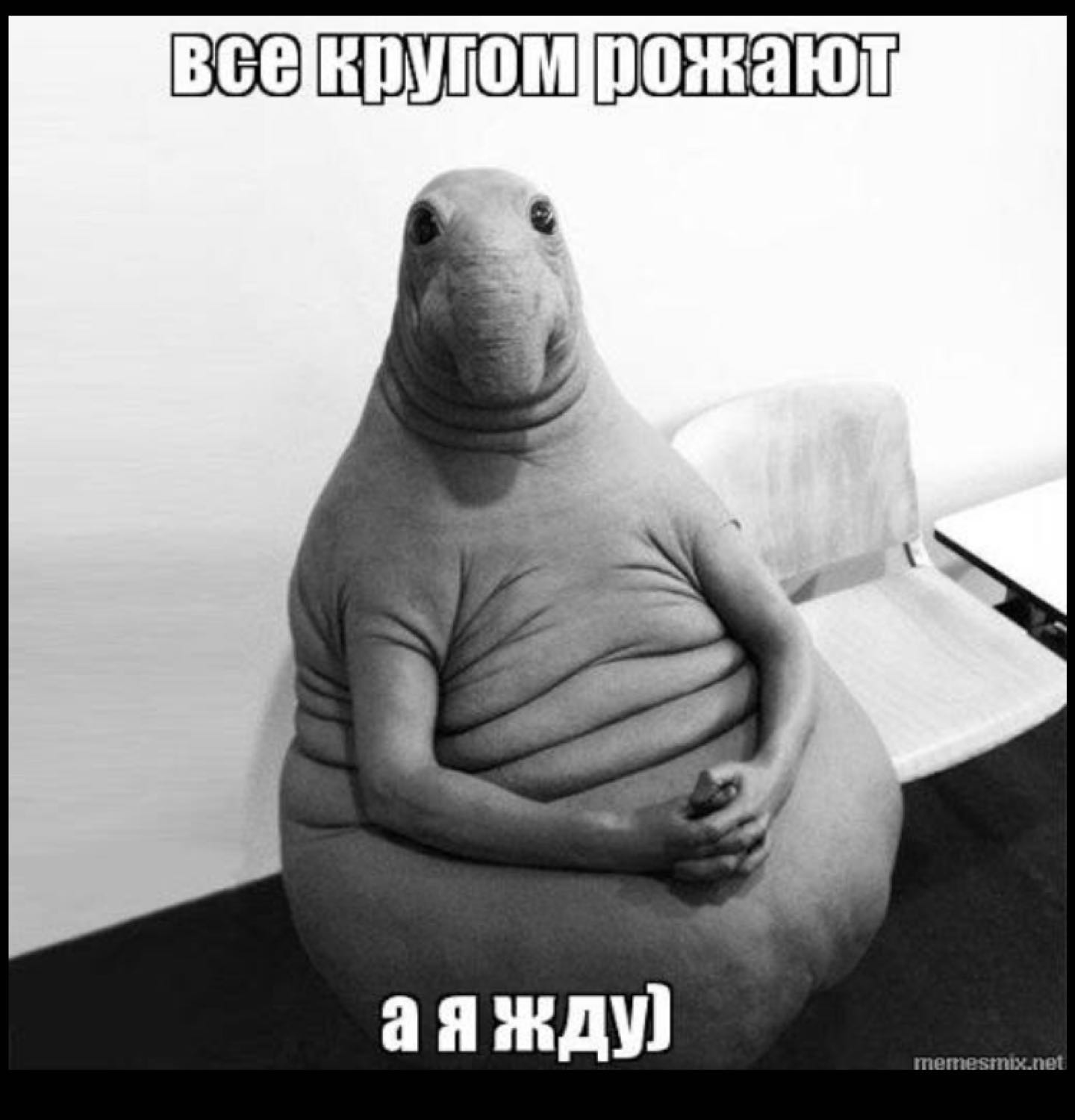 Короче девочки ну вы поняли да😹😹🤪 все родили а мы ждём 😹 