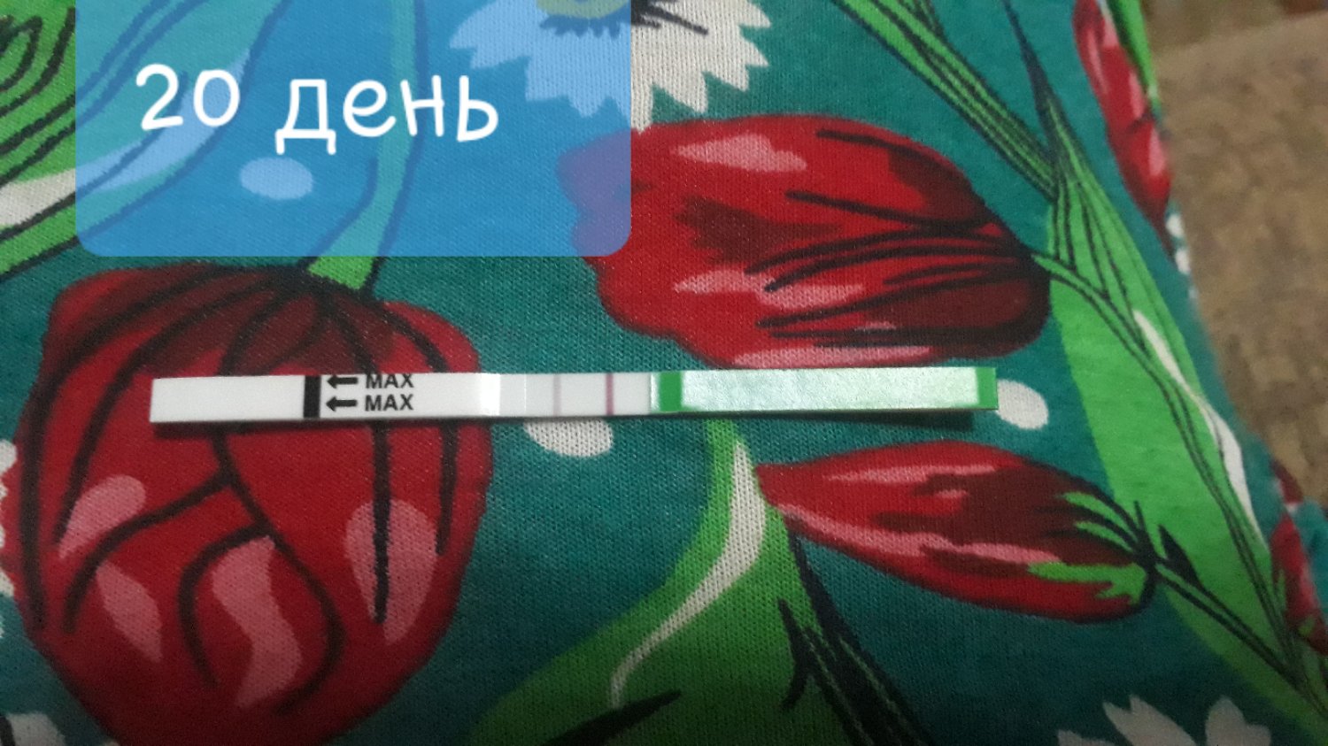 Всем привет 🖐❤девочки хотела бы у вас спросить, была ли овуляция или е... image №4