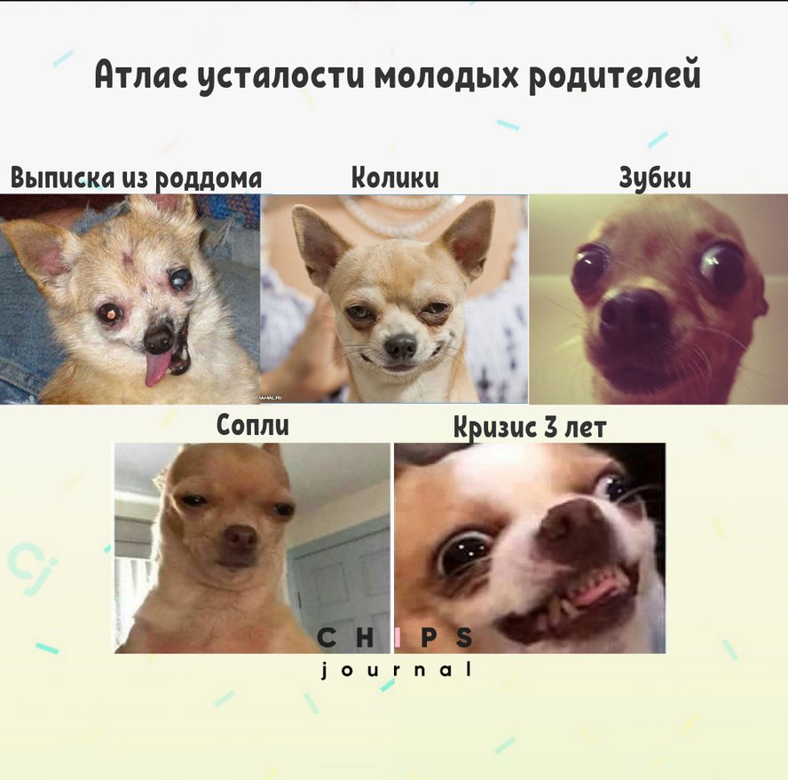 Посты пользователей из приложения image №3