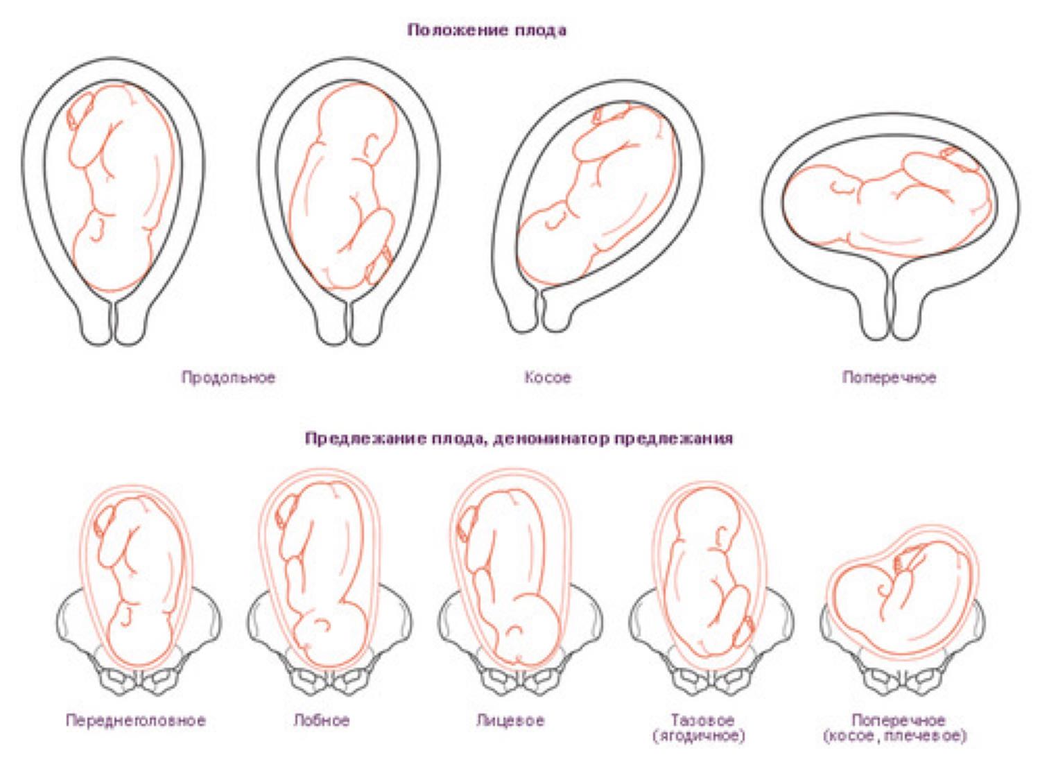 Всем привет , девочки 🤰🏻как Ваши дела?) у меня пару вопросов насчёт ма... 