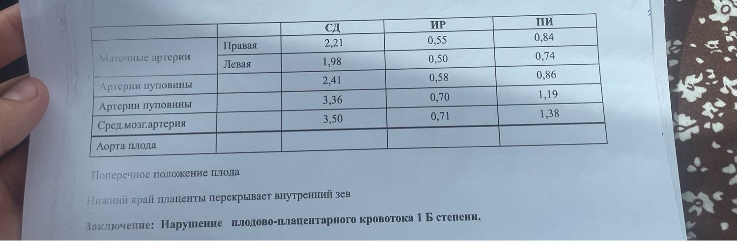 Посты пользователей из приложения 