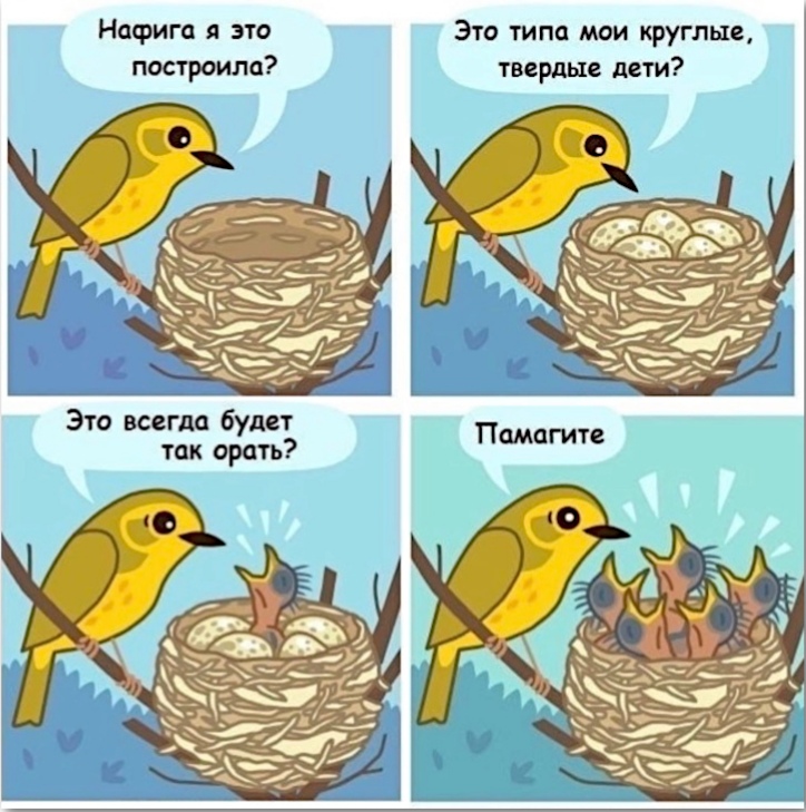 Посты пользователей из приложения 
