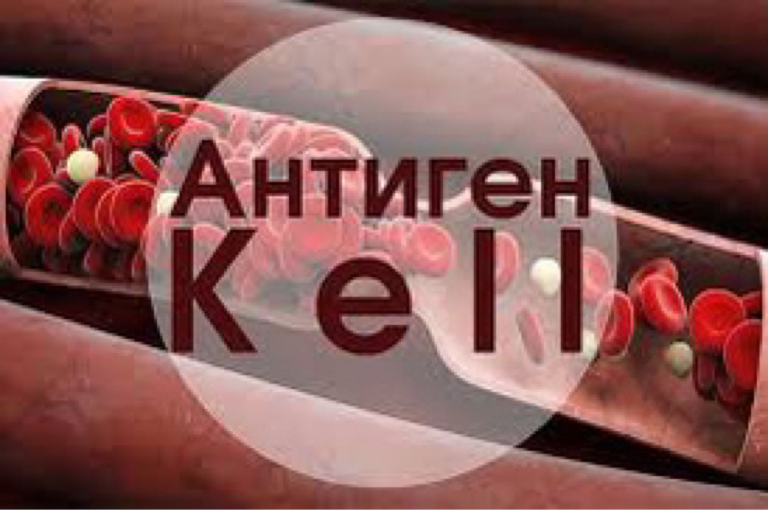 Посты пользователей из приложения image №2