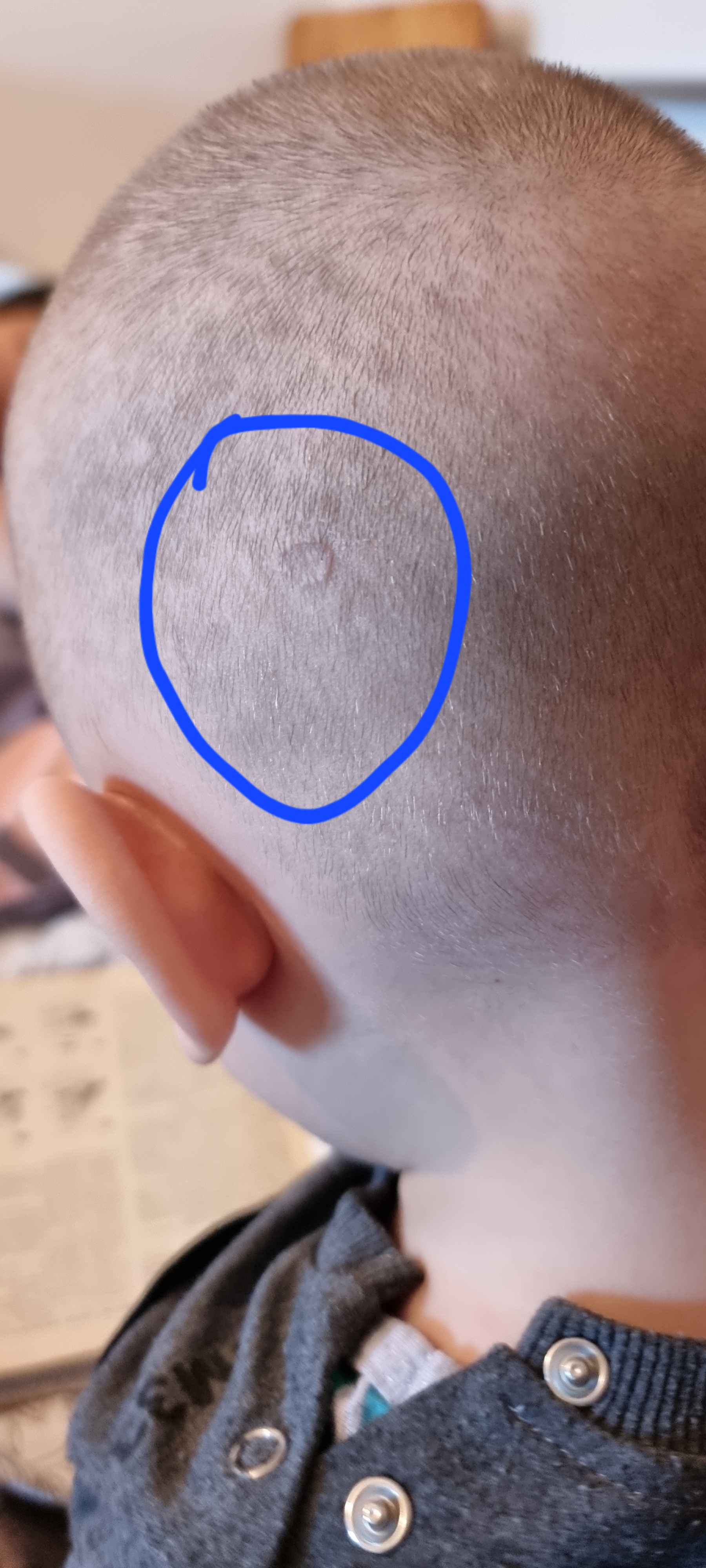 Посты пользователей из приложения image №3