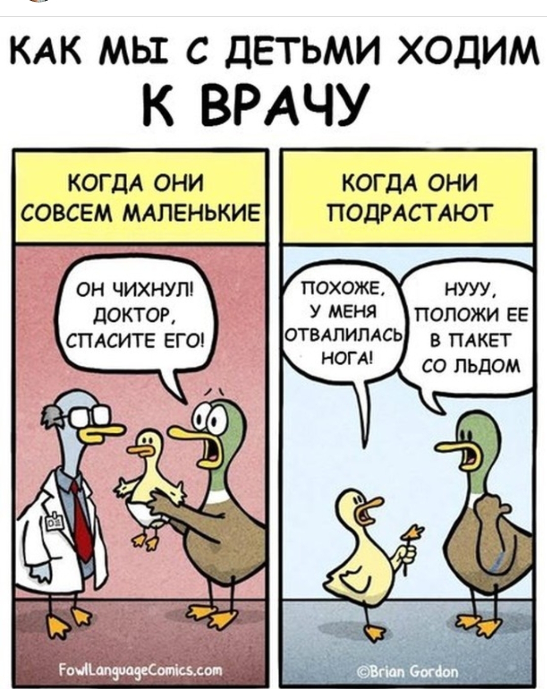 Посты пользователей из приложения image №2