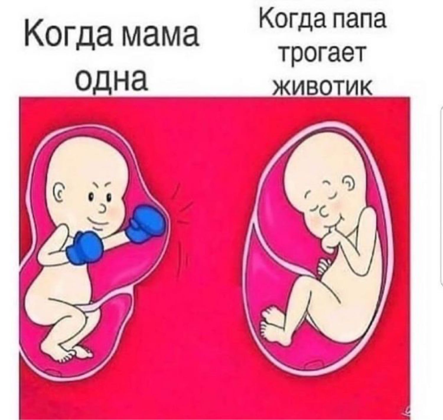 Посты пользователей из приложения image №2