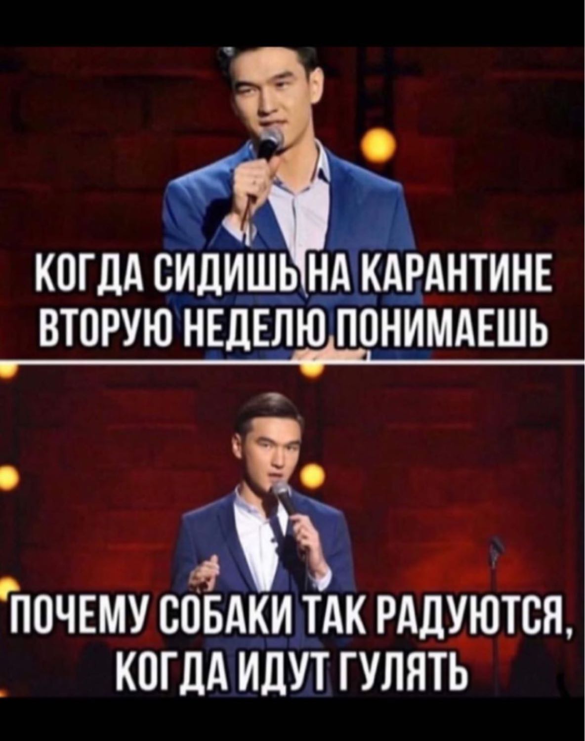 А как часто вы выходите в магазин? Повезло же людям у кого собаки, мог... 