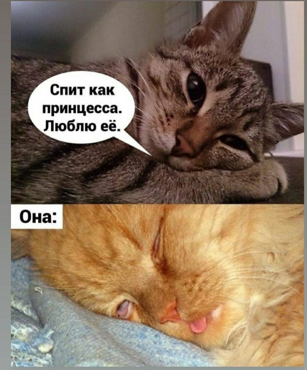 Посты пользователей из приложения 